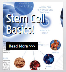 Stem Cell Questions