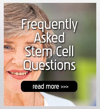 Stem Cell Basics